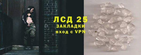 прущие грибы Армянск