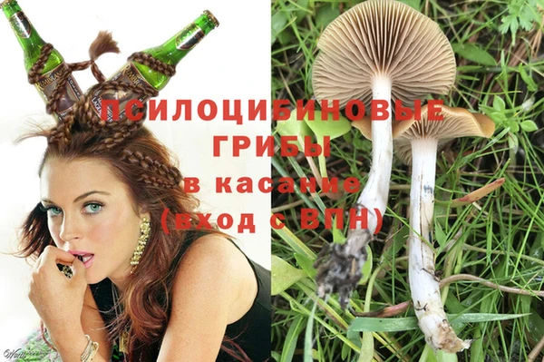 mdpv Осинники