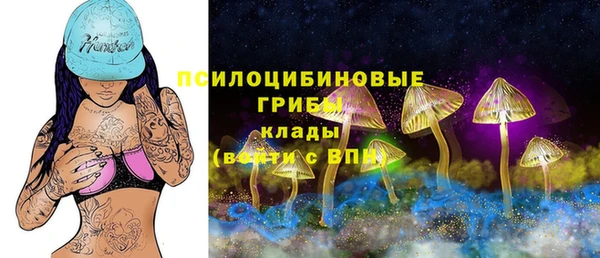 ALPHA-PVP Аркадак