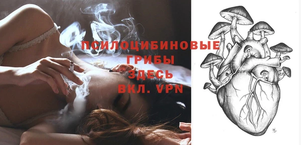 ALPHA-PVP Аркадак