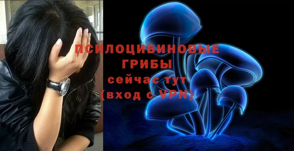 ALPHA-PVP Аркадак