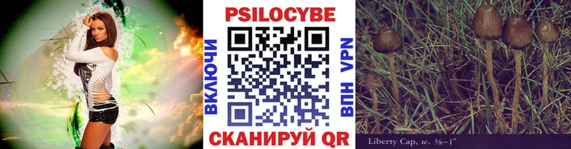 Псилоцибиновые грибы GOLDEN TEACHER  KRAKEN   Циолковский  магазин продажи наркотиков 